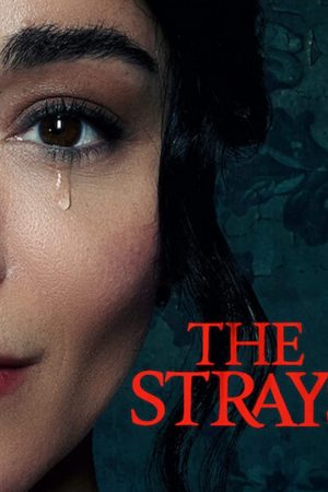The Strays (2023) คนหลงทาง