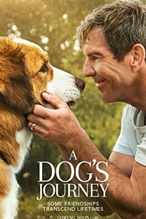 A Dog's Journey (2019) หมา เป้าหมาย และเด็กชายของผม 2