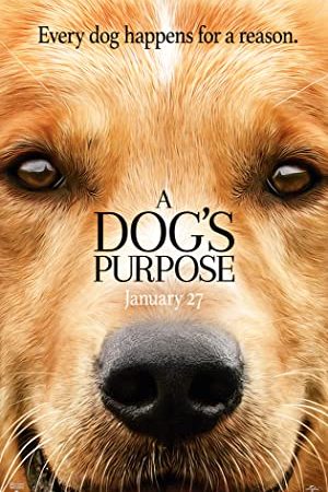 A Dog's Purpose (2017) หมา เป้าหมาย และเด็กชายของผม