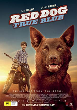 Red Dog: True Blue (2016) เพื่อนซี้หัวใจหยุดโลก 2