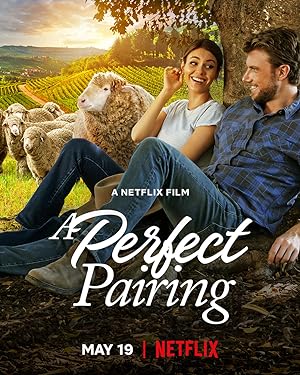 A Perfect Pairing (2022) คู่นี้... คือเพอร์เฟค