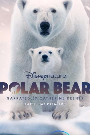 Polar Bear (2022)