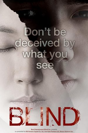 Blind (2011) (Beul-la-in-deu) พยานมืดปมมรณะ