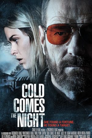 Cold Comes the Night (2013) คืนพลิกนรก