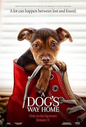 A Dog's Way Home (2019) เพื่อนรักผจญภัยสี่ร้อยไมล์