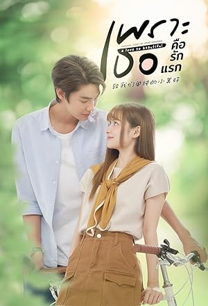 เพราะเธอคือรักแรก A Love So Beautiful (2024) เวอร์ชั่นไทย